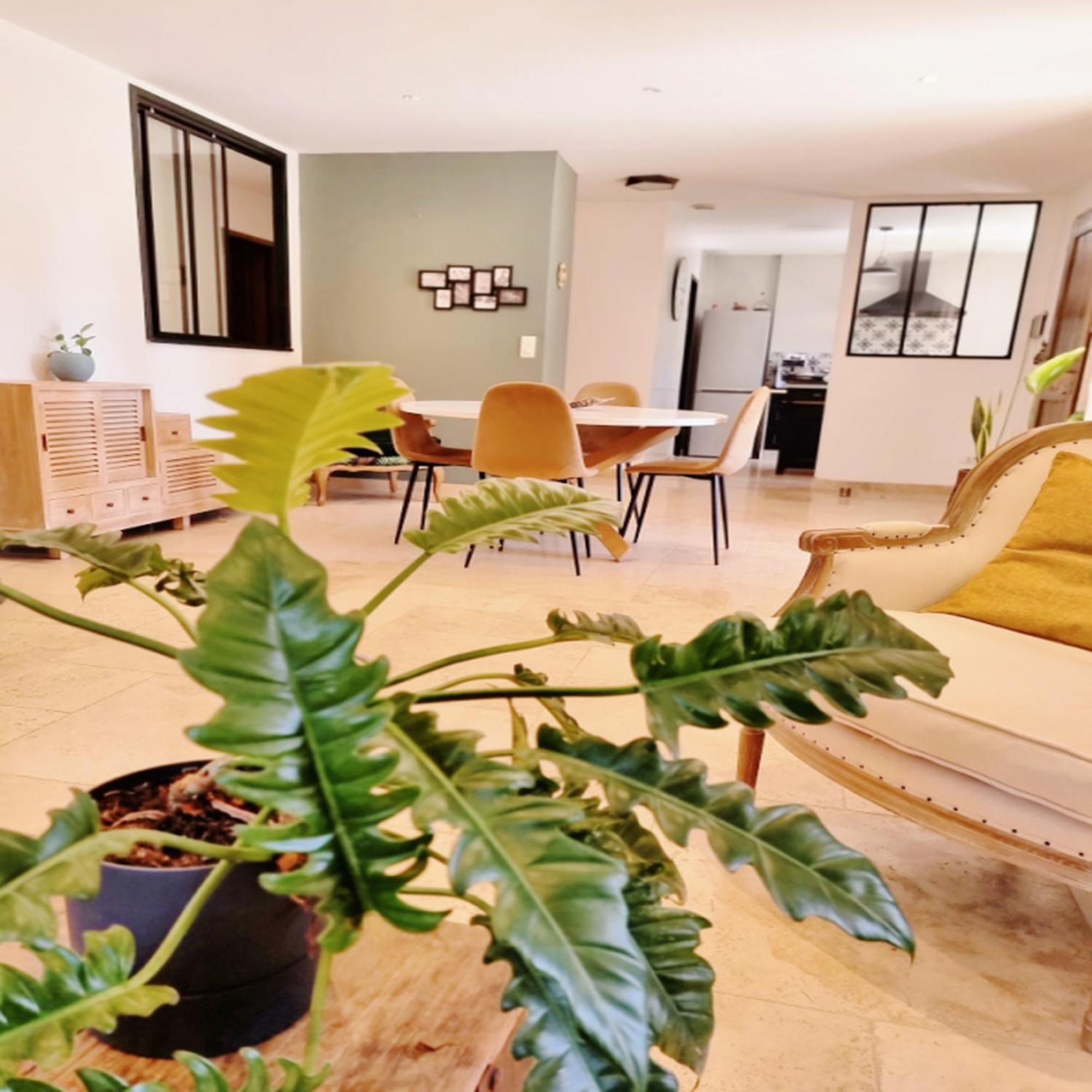 Villa Oasis En Provence Luberon Pierrevert Kültér fotó