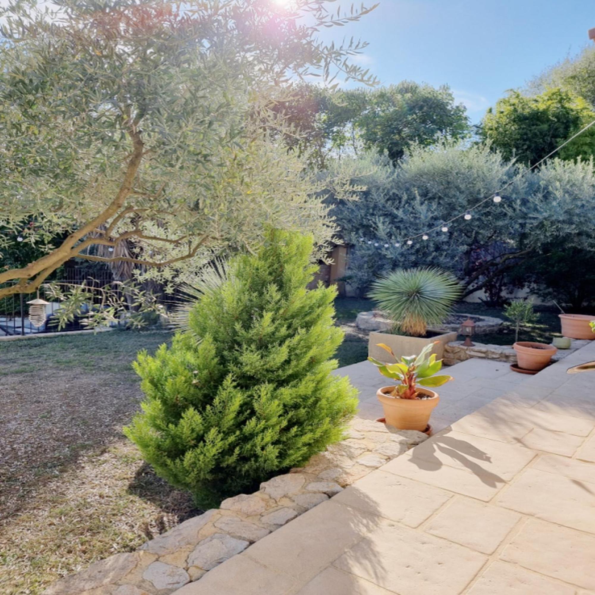 Villa Oasis En Provence Luberon Pierrevert Kültér fotó